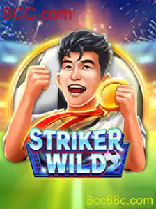 Descubra o Mundo Empolgante de StrikerWILD